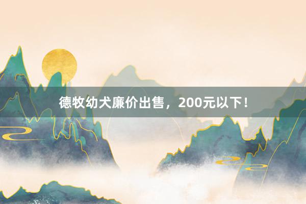 德牧幼犬廉价出售，200元以下！