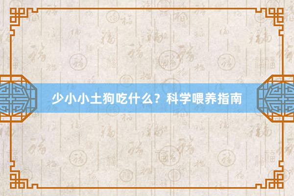 少小小土狗吃什么？科学喂养指南