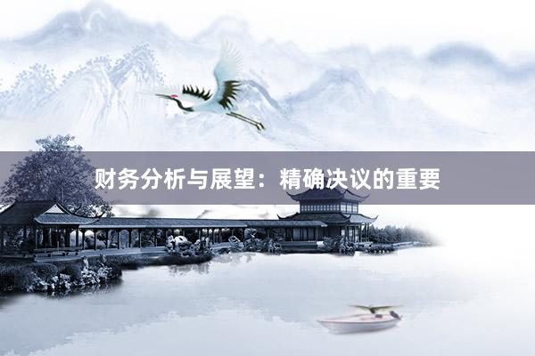 财务分析与展望：精确决议的重要